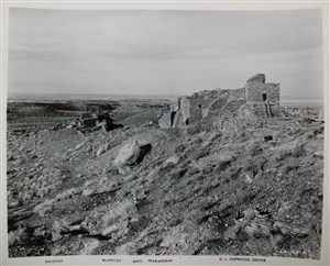 Image description is not available for 2007.030